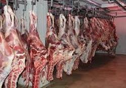 عرضه گوشت قرمز در کشتارگاه‌های رسمی کشور در مهر ۱۴۰۱ به ۵۴٫۵ هزار تن رسید