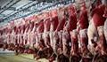 عرضه گوشت قرمز در کشتارگاه‌های رسمی کشور در مهر ۱۴۰۰ به ۵۳ هزار تن رسید