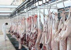 عرضه گوشت قرمز در کشتارگاه‌های رسمی کشور در اسفند ۱۴۰۰ به ٥٤,٣ هزار تن رسید