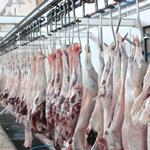 عرضه گوشت قرمز در کشتارگاه‌های رسمی کشور در فروردین ۱۴۰۱ به ٤٦,٩ هزار تن رسید