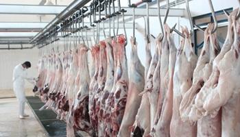 عرضه گوشت قرمز در کشتارگاه‌های رسمی کشور در فروردین ۱۴۰۱ به ٤٦,٩ هزار تن رسید