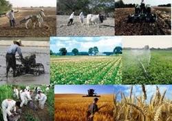 سرشماری عمومی کشاورزی 1403 در پاییز سال جاری اجرا می‌شود