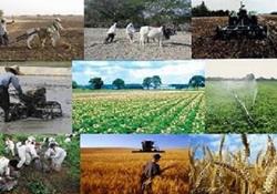 زارش شاخص قیمت تولید کننده زراعت، باغداری و دامداری سنتی (تعدیل یافته) فصل زمستان ١٣٩٩ (برمبنای ١٠٠=١٣٩٥)