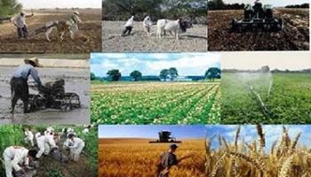 زارش شاخص قیمت تولید کننده زراعت، باغداری و دامداری سنتی (تعدیل یافته) فصل زمستان ١٣٩٩ (برمبنای ١٠٠=١٣٩٥)