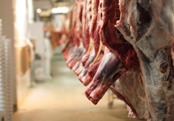 عرضه گوشت قرمز در کشتارگاه‌های رسمی کشور در فروردین 1403 به ۲۹٬۵۴۰ تن رسید